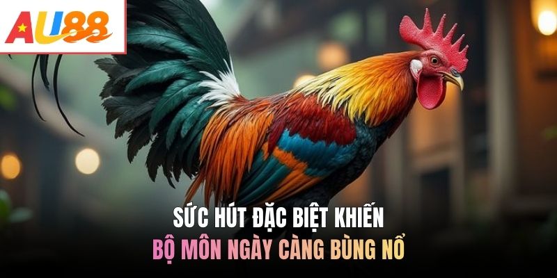 Sức hút đặc biệt khiến bộ môn ngày càng bùng nổ